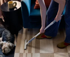 Kit d'Outils pour Enlever les Poils d'Animaux CleanTech™