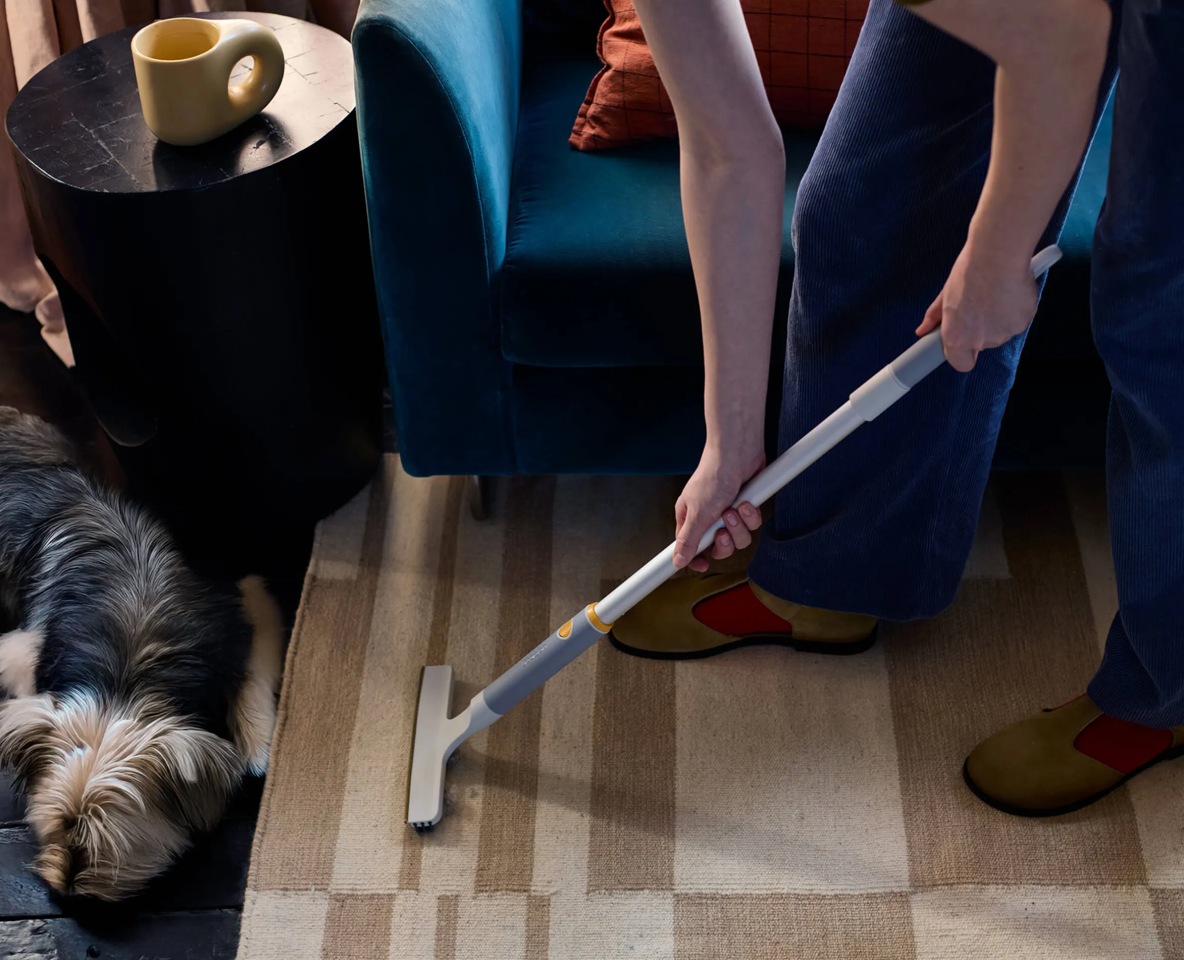 Kit d'Outils pour Enlever les Poils d'Animaux CleanTech™