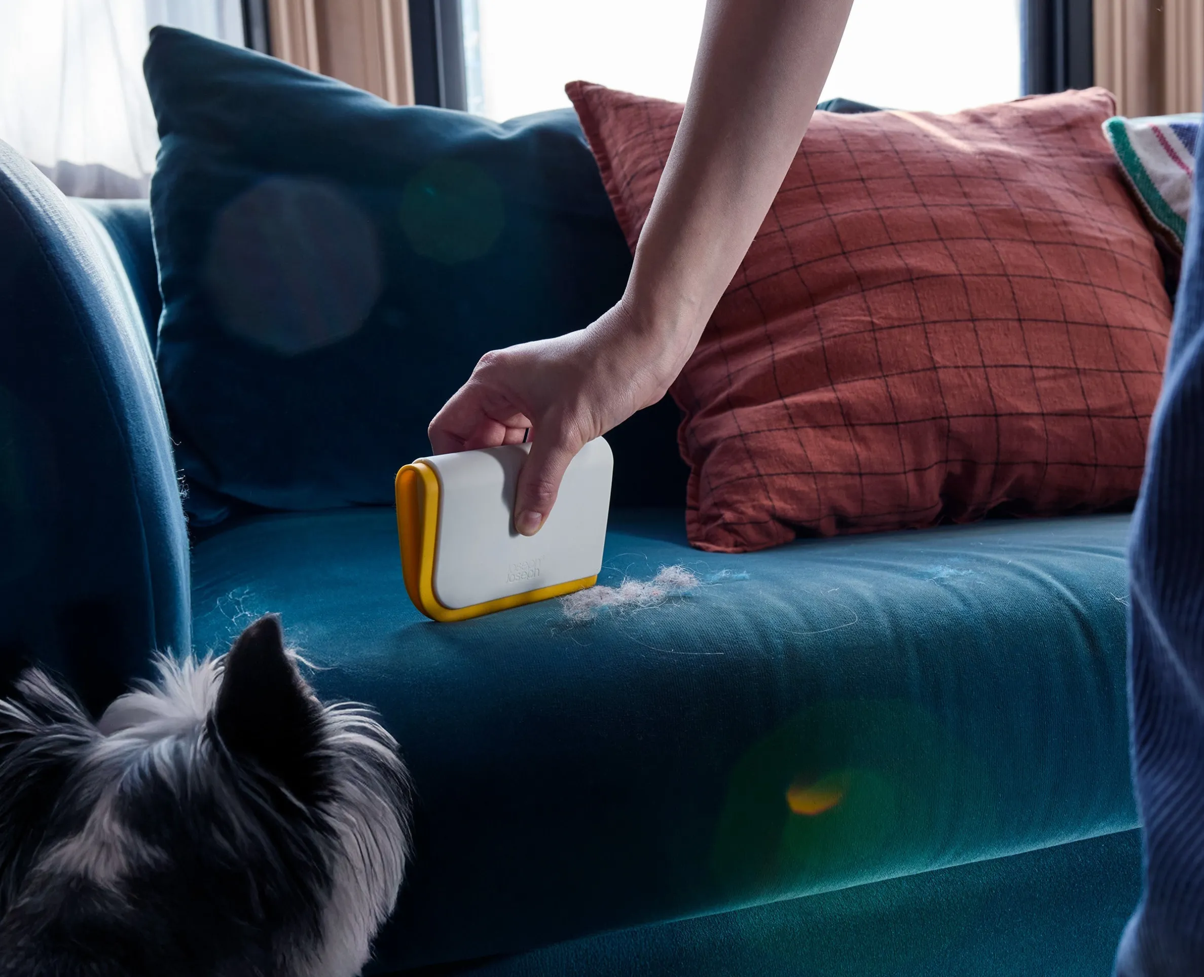 Kit d'Outils pour Enlever les Poils d'Animaux CleanTech™