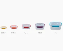 Lot de 5 Boîtes de Conservation Compactes Plastique Multicolore Nest™
